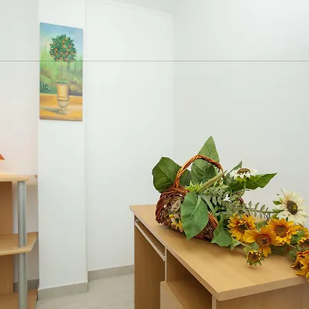 Pensionat Mara Vela Luka